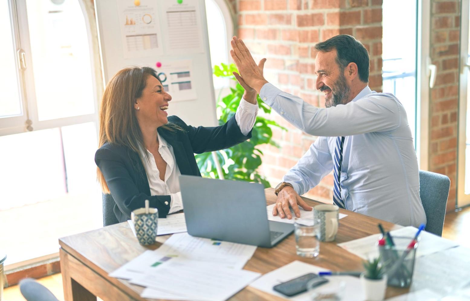 Arbeitsumgebung der SEO-Analyse